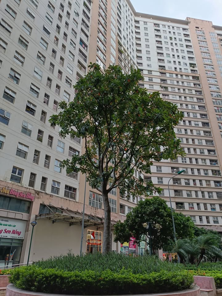 Chung cư CT2 Yên Nghĩa - Hà Đông 120m² giá 6 tỷ - Căn góc thoáng sáng, đẳng cấp sống!