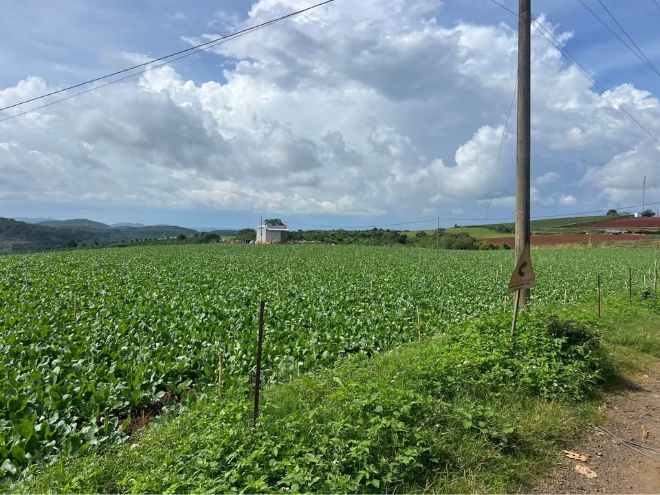 Đất nền Tà Hine, Đức Trọng 7200m² giá 1.8 tỷ - Đầu tư sinh lời ngay!