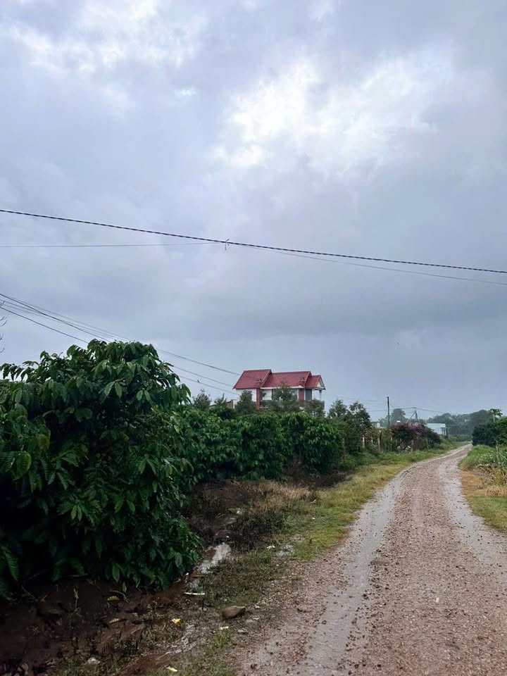 Đất nền Thôn 5, xã Gia Hiệp, huyện Di Linh, 480m² - Đường thông, giá thỏa thuận!