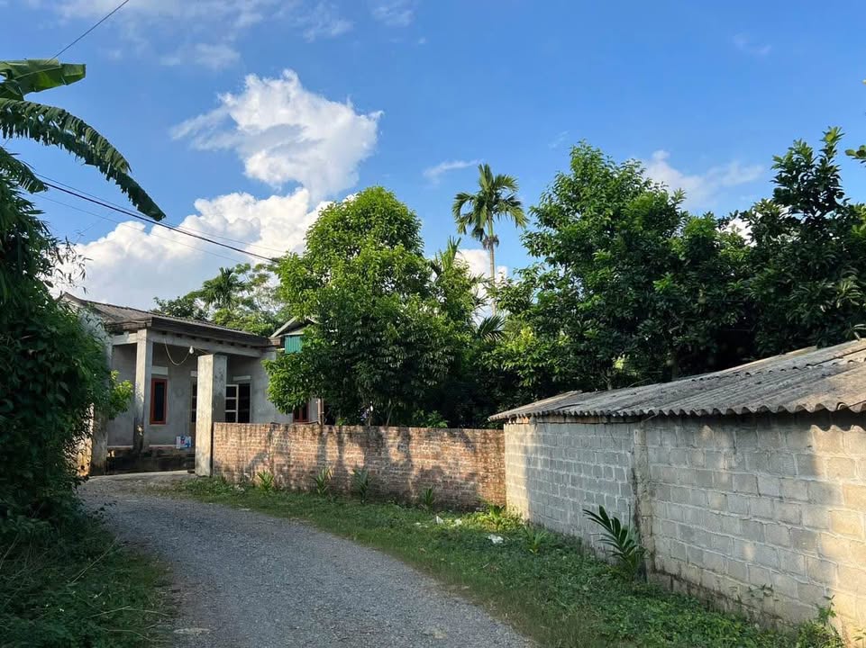 Đất ở đô thị Mãn Đức, Tân Lạc 224m² giá 400 triệu - Sổ đỏ chính chủ, xây dựng ngay!