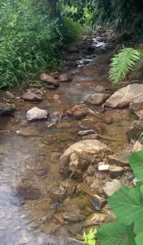 Farm nghỉ dưỡng Thống Nhất, Hạ Long 3800m² giá 8 tỷ - Không thể bỏ lỡ!