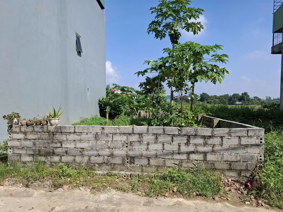 Đất nền Tân Dân Sóc Sơn 75m² giá 1 tỷ - Pháp lý rõ ràng, giao thông thuận tiện!