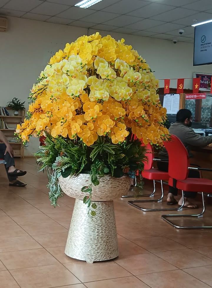 Đất Farm 4ha Phú Sơn, Bù Đăng - Giá 1.1 tỷ, Đường lớn thuận tiện!