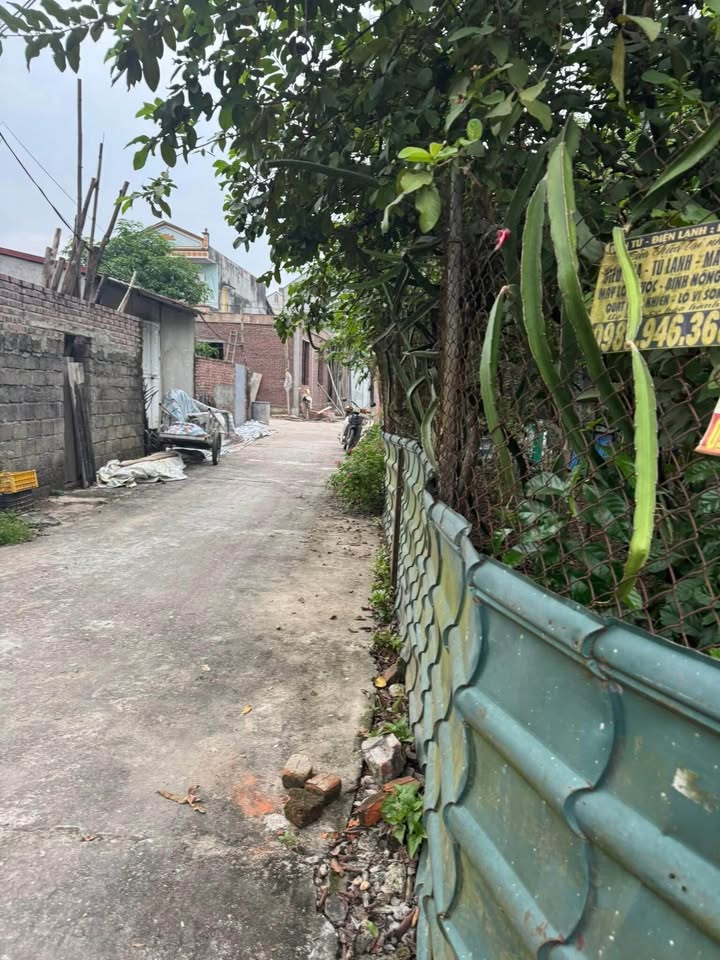 Đất nền 110m² đường Tiên Lũng, Ỷ La giá 1.75 tỷ - Gần chợ và trường học!