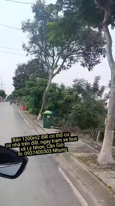 Đất vườn 1200m² xã Lý Nhơn Cần Giờ - Pháp lý rõ ràng, giá thỏa thuận!