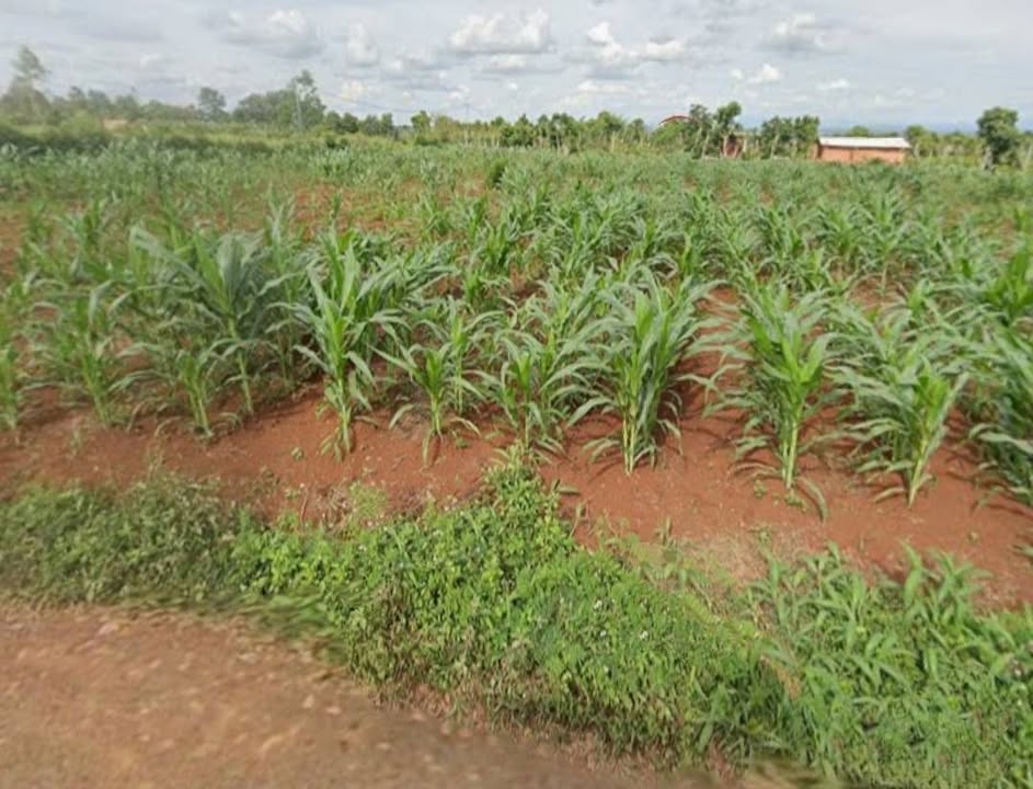 Đất thổ cư 200m² mặt tiền Lý Chính Thắng, Thống Nhất, 2.748 tỷ - Đầu tư sinh lời!