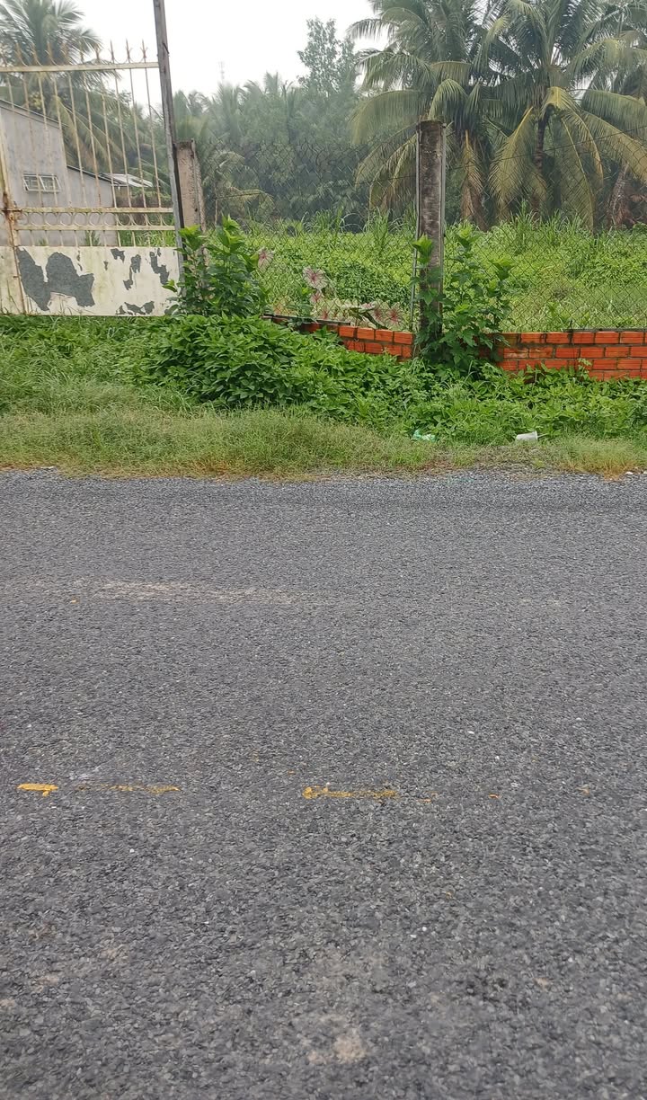 Đất ở ấp 5, xã Mỹ Cẩm, huyện Càng Long - Diện tích 38m² giá 3.876 tỷ - Đầu tư sinh lời ngay!