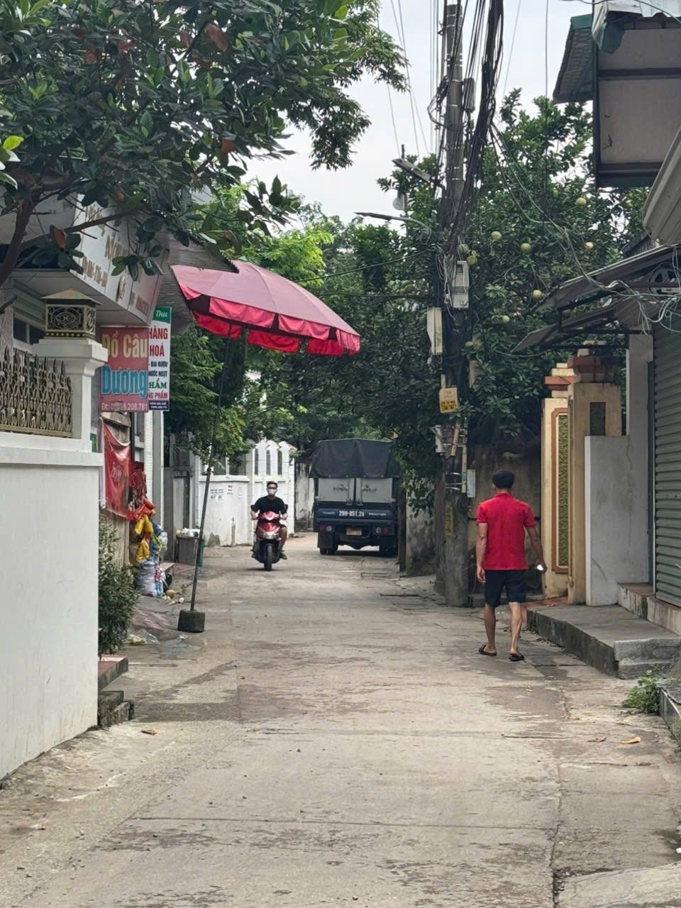 Mảnh đất đẹp Liên Ninh 51.5m² giá 4.3 tỷ - Đầu tư sinh lời ngay!