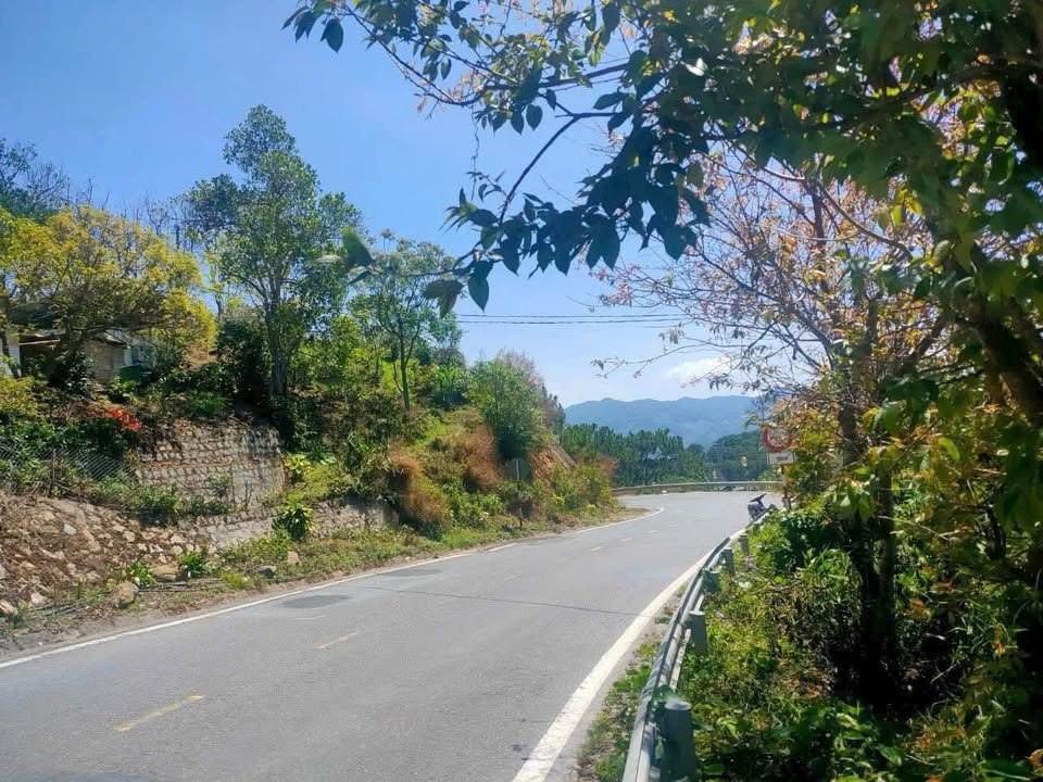 Đất nông nghiệp mặt tiền Quốc lộ 20, Đà Lạt 500m² giá 1.9 tỷ - Đầu tư sinh lời!