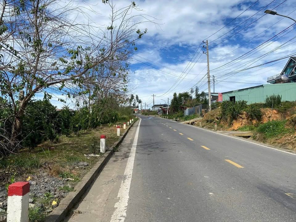 Đất nền Quốc lộ 20, Phường Xuân Trường, Đà Lạt 1000m² giá 9 tỷ - Cơ hội đầu tư tuyệt vời!