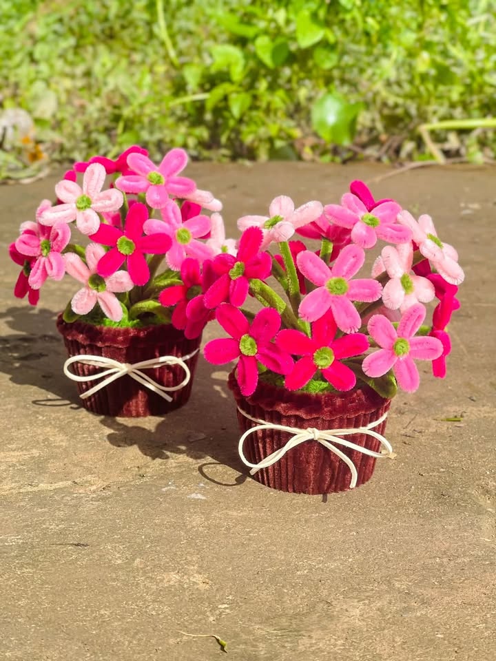 Đất nền Quảng Lập, Đơn Dương 264m² giá 250 triệu - Cơ hội đầu tư tuyệt vời!