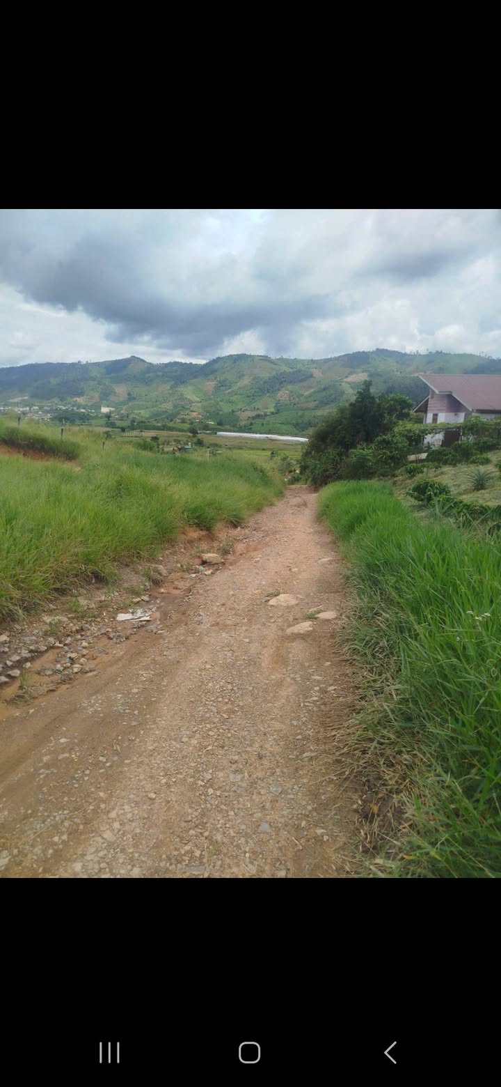 Đất nền Phi Tô Lâm Hà 2.8ha giá chỉ 560 triệu - Cơ hội đầu tư không thể bỏ lỡ!