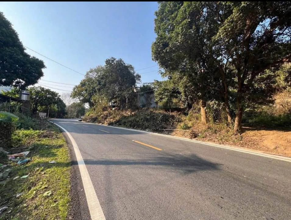 Đất thổ cư 90m² Xuân Quang, Lào Cai giá chỉ 120 triệu - Đầu tư sinh lời ngay!