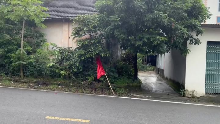 Đất đẹp tại TDP Sơn Long, Đại Đình, Tam Đảo 232m² chỉ 2 tỷ - Sẵn sàng đầu tư!