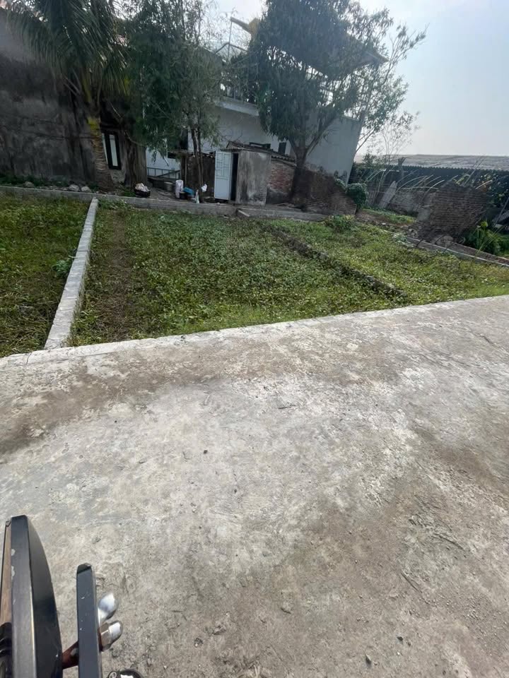 Đất nền Văn Tự, Thường Tín 45m² - Mặt tiền 5m, Đường ô tô vào tận nơi!