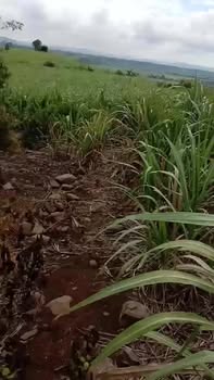 Đất ở Mả Vôi, Đức Bình Tây, Sông Hinh 6200m² giá 200 triệu - Sổ đỏ chính chủ!