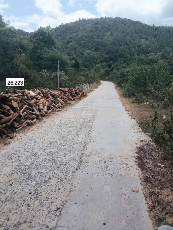 Đất thổ cư 159m² đường bê tông Cam Phước Đông giá 850 triệu - Cơ hội đầu tư tuyệt vời!