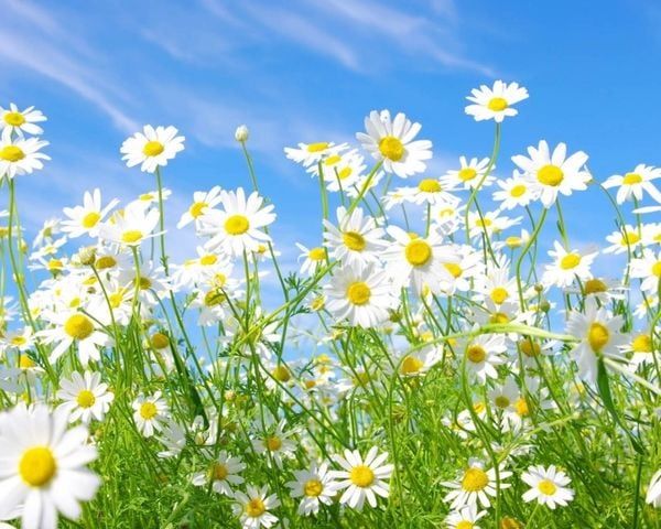 Nhà riêng Phường Ba Ngòi Cam Ranh 125m² giá 1.7 tỷ - Đường ô tô vào tận nhà!