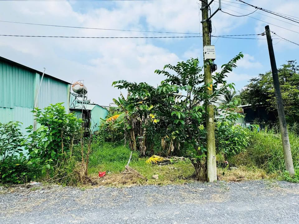 Đất nền xã Trung Lập Thượng Củ Chi 258m² giá 2.15 tỷ - Cơ hội đầu tư hấp dẫn!