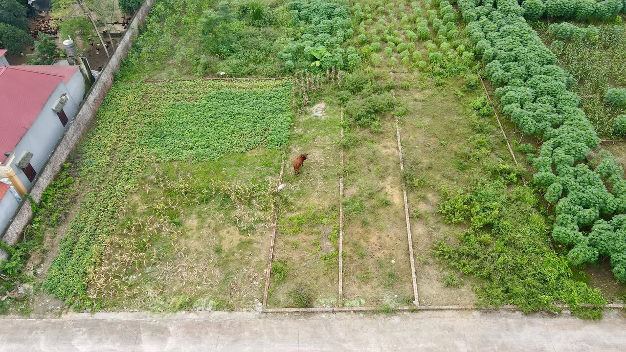 Đất nền Vật Lại, Ba Vì 132m² giá 1 tỷ - Mặt tiền rộng, cơ hội đầu tư tuyệt vời!