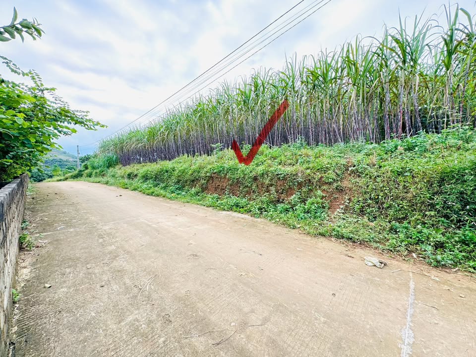 Đất nền Kim Bôi Hòa Bình 800m² giá 1,x triệu - View thoáng, mặt tiền 35m!