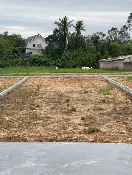 Đất nền Xóm 4, Nghĩa Thuận, Thái Hòa 150m² giá 400 triệu - Cơ hội đầu tư tuyệt vời!