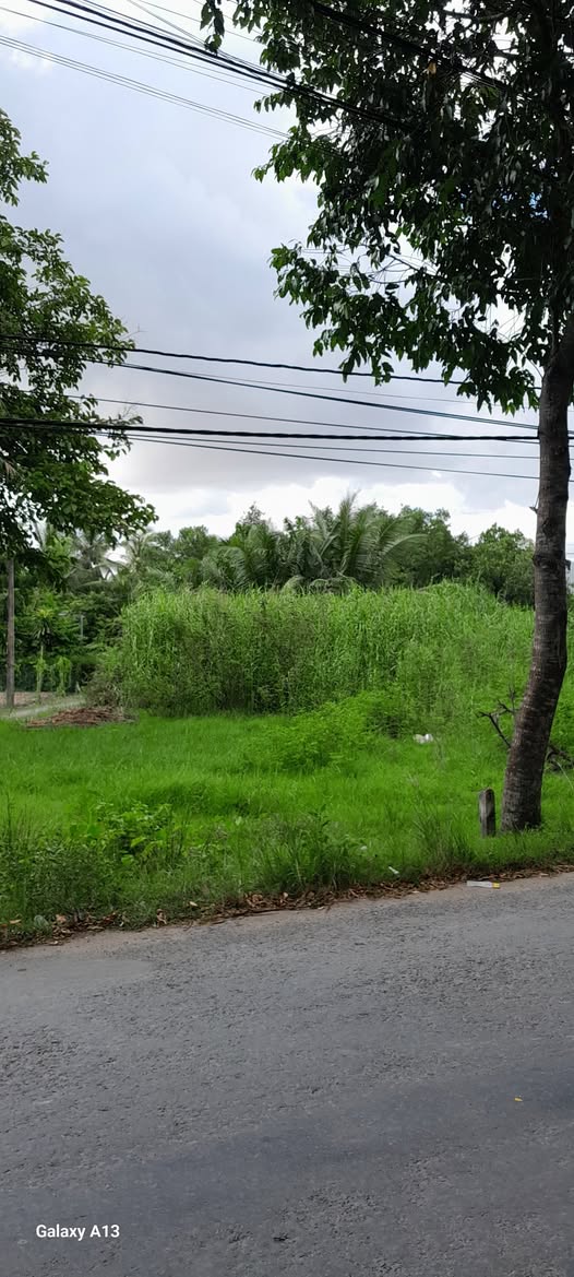 Đất cho thuê mặt tiền đường Huyện 25, Tân Hạnh, 329m² - Vị trí đắc địa gần Đặc khu Hành chính