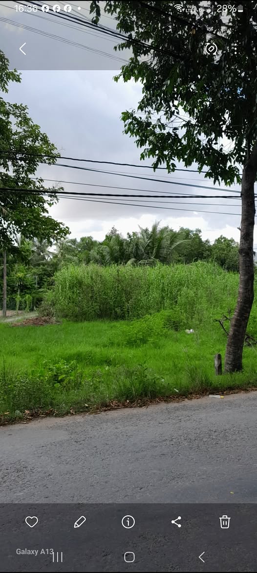 Đất mặt tiền đường Huyện 25, phường Tân Hạnh, 329m² - Cho thuê giá tốt!