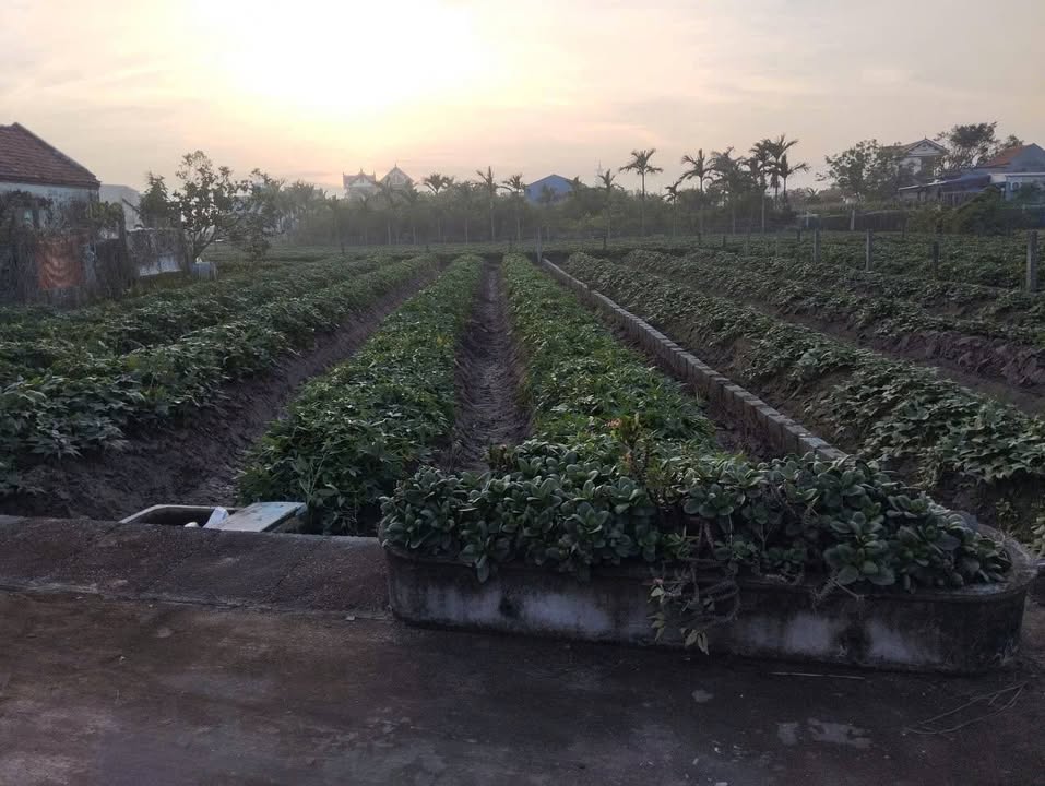 Đất nền khu phố 3 Thịnh Long 150m² giá thỏa thuận - Vị trí đắc địa gần biển