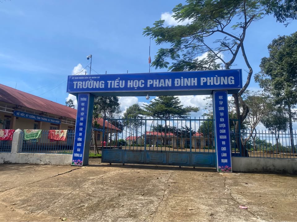 Đất thổ cư Đắk Wer 115m² giá 235 triệu - Mặt tiền bê tông, sổ hồng chính chủ!