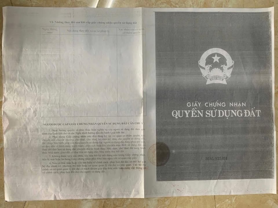 Đất nền Trường Sơn An Lão 100m² - Sổ đỏ chính chủ, giá thỏa thuận!