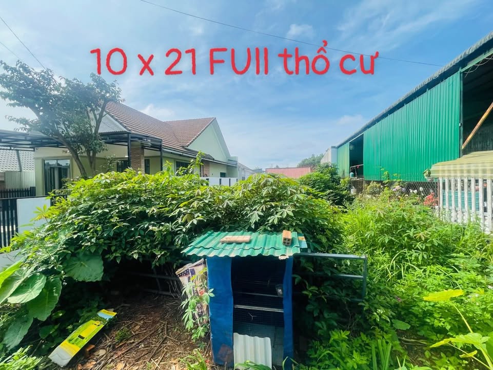 Đất nền Đắk Nia Gia Nghĩa 210m² giá 2.2 tỷ - Vị trí kinh doanh đắc địa!