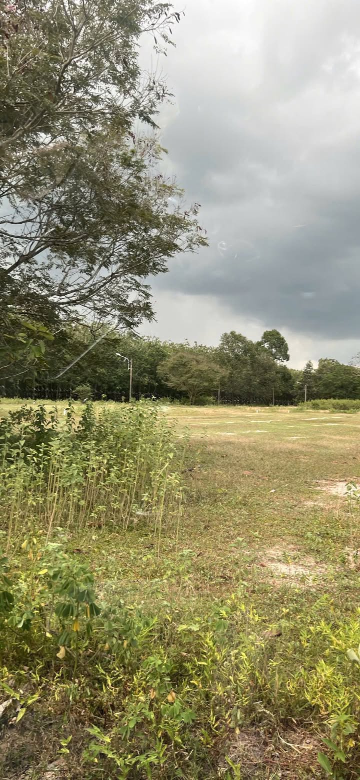 Đất nền Định Hiệp 218.5m² giá thỏa thuận - Lô góc đầu tư sinh lời cao!