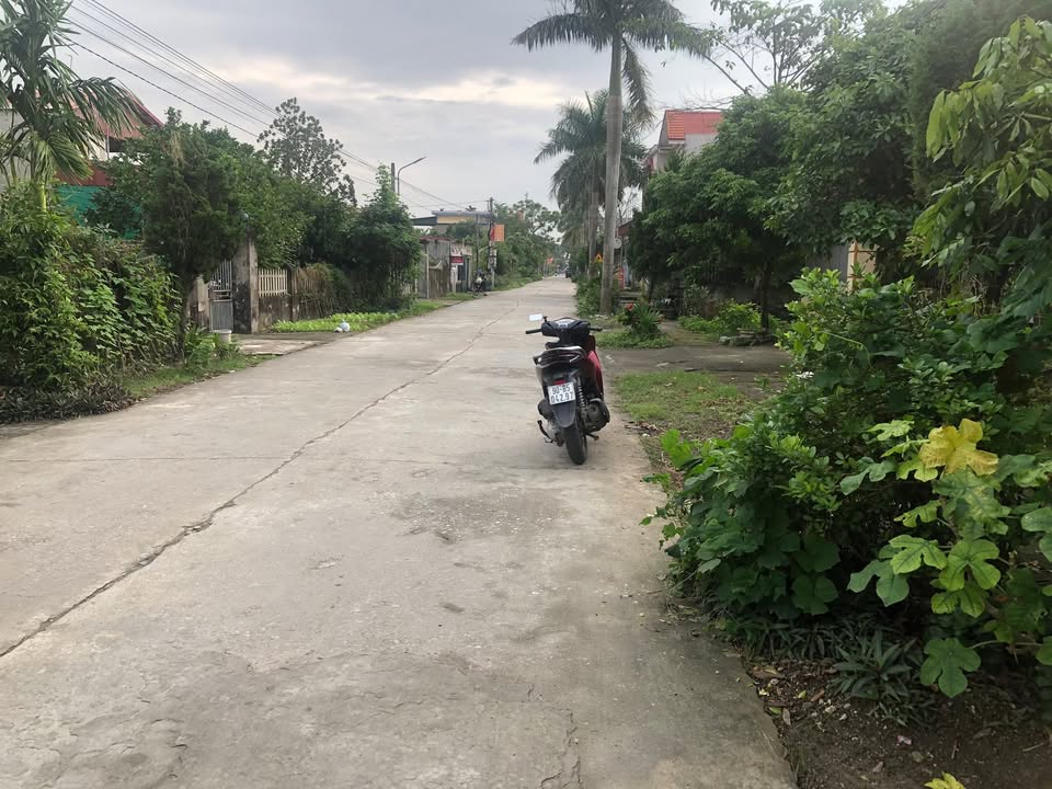 Đất thổ cư An Đổ, Bình Lục, Hà Nam 160m² - Khu vực tiềm năng phát triển!