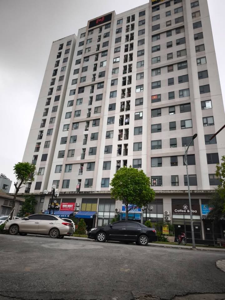 Đất chính chủ tại trung tâm TP. Hải Dương 63.6m² giá 2 tỷ - Đầu tư sinh lời ngay!