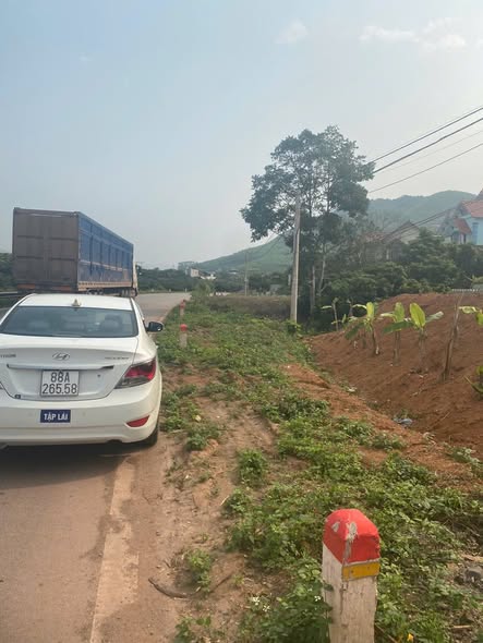 Đất nền 125m² Tỉnh lộ 291, Bắc Giang giá chỉ 700 triệu - Cơ hội đầu tư lý tưởng!