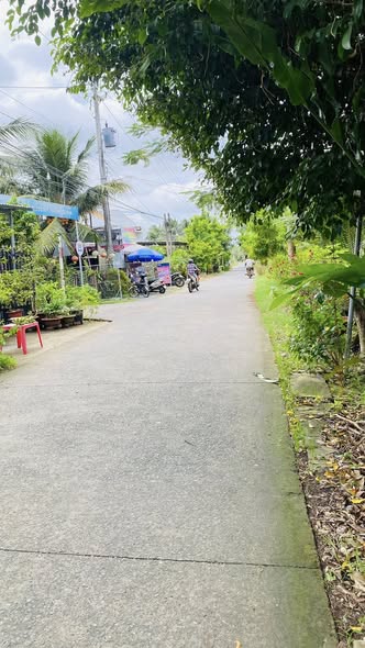 Đất vườn mặt tiền Lộ Tam Dương, xã Tường Đa, 2000m² - Đầu tư sinh lời ngay!