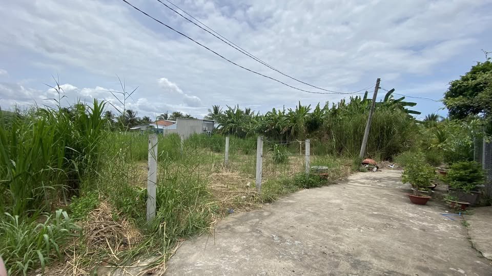 Đất nền xã Phú Nhuận, Bến Tre 99m² giá 230 triệu - Đầu tư sinh lời tại vị trí đắc địa!