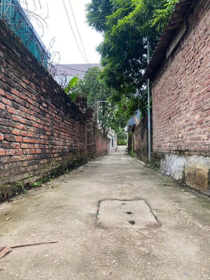 Đất nền Thường Tín 73,1m² giá 2,95 tỷ - Vị trí tiềm năng, gần chợ