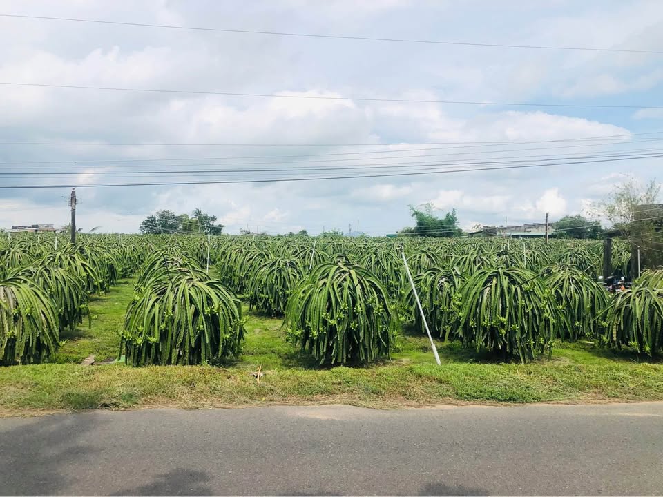 Đất mặt tiền đường nhựa Hàm Liêm, 3600m² giá 1.005 tỷ - Cơ hội đầu tư tuyệt vời!