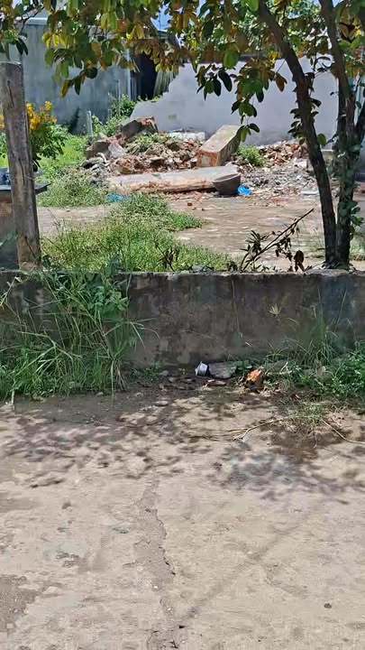 Đất nền Cẩm Thành, Quảng Ngãi 137m² giá 1.2 tỷ - Cơ hội đầu tư tuyệt vời!