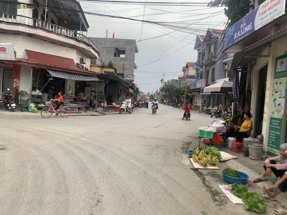 Đất nền Vĩnh Hòa Ninh Giang 90m² giá chỉ 1 tỷ - Cơ hội đầu tư không thể bỏ lỡ!