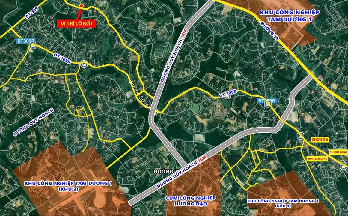 Đất thổ cư Hướng Đạo, Tam Dương, 115.6m² - Cơ hội đầu tư hiếm có!