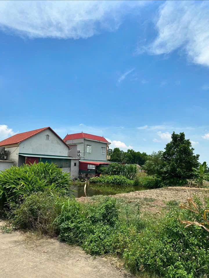 Đất nền Trung Chính, Lương Tài 100m² giá 1.5 tỷ - Mặt tiền đẹp 5.5m!