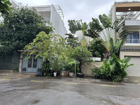 Đất nền khu dân cư 17.3ha An Phú, Q.2 - Diện tích 100m², giá 15.5 tỷ - Đầu tư sinh lời hấp dẫn!