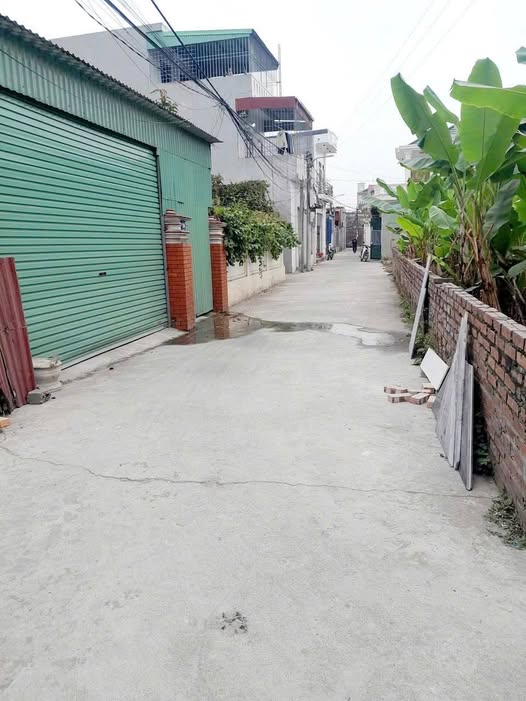 Đất nền Hợp Đức Đồ Sơn 99m² giá chỉ 1.2 tỷ - Đầu tư sinh lời tuyệt vời!