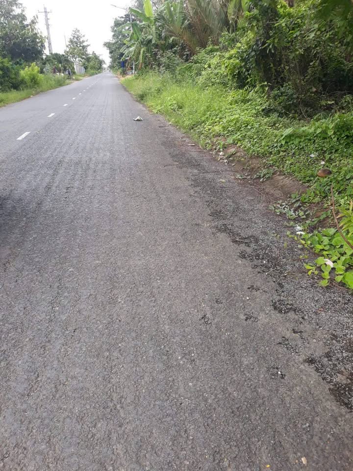 Đất ruộng 8.600m² mặt tiền đường 30/4, Sóc Trăng - Đầu tư sinh lời ngay!