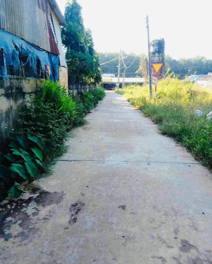 Đất nền Đồng Tiến Đồng Phú 180m² giá 400 triệu - Đường betong rộng rãi, dân cư đông đúc!