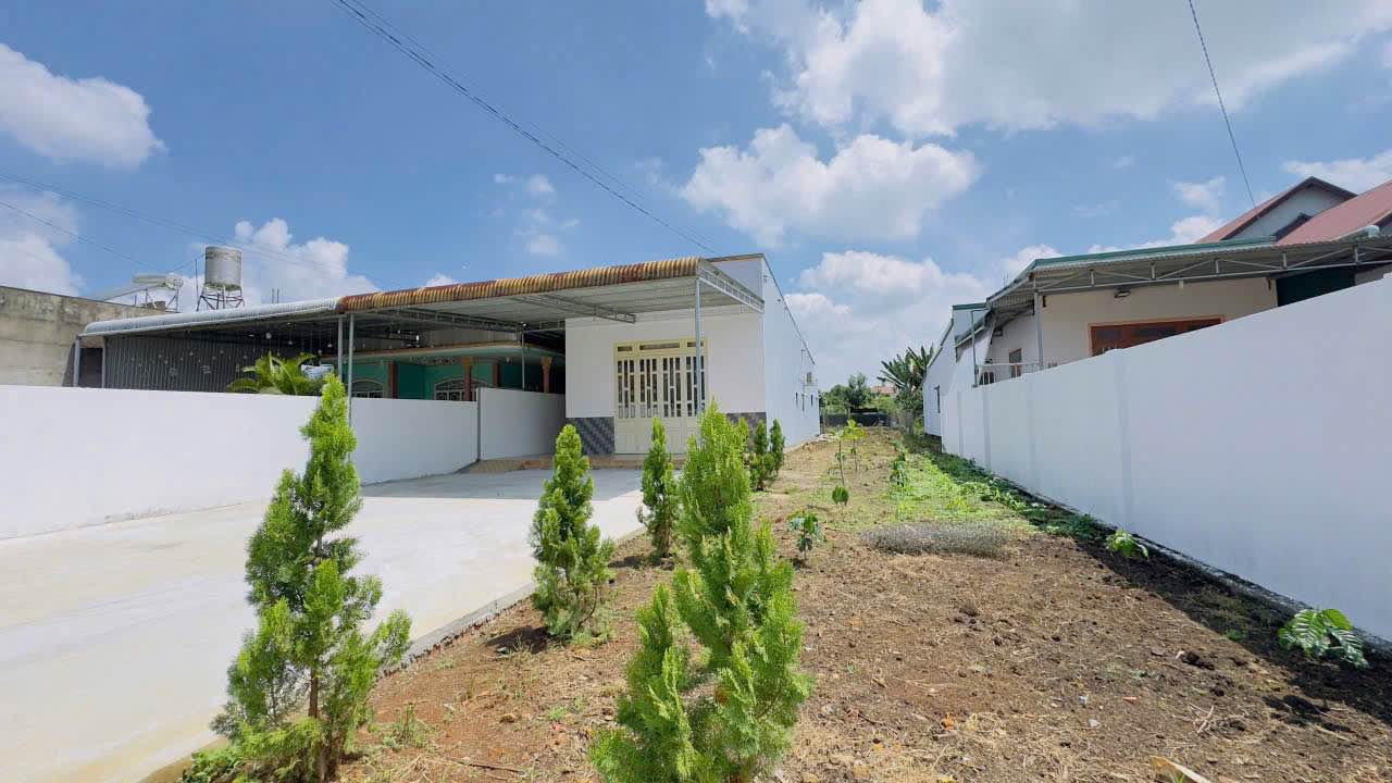 Nhà mặt tiền hẻm nhựa Ngô Tất Tố, Lộc Châu 791m² giá 4 tỷ - Thương lượng nhẹ!