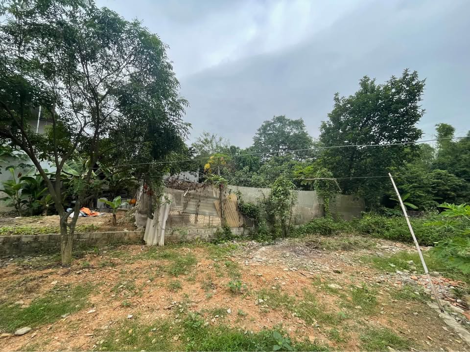 Đất thổ cư 300m² khu Ngọc Trạo, Bỉm Sơn giá 1.2 tỷ - Đầu tư sinh lời ngay!